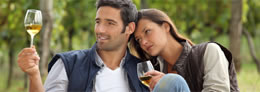 Ultimate Niagara Winery Experience